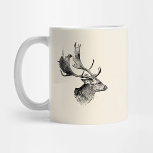 Fallow deer Mug